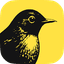 Revealbot (Bïrch) Alternative logo